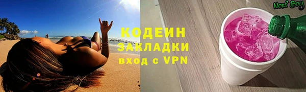 трава Бородино