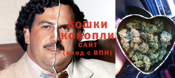 трава Бородино