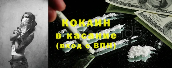 трава Бородино