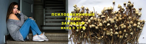 трава Бородино